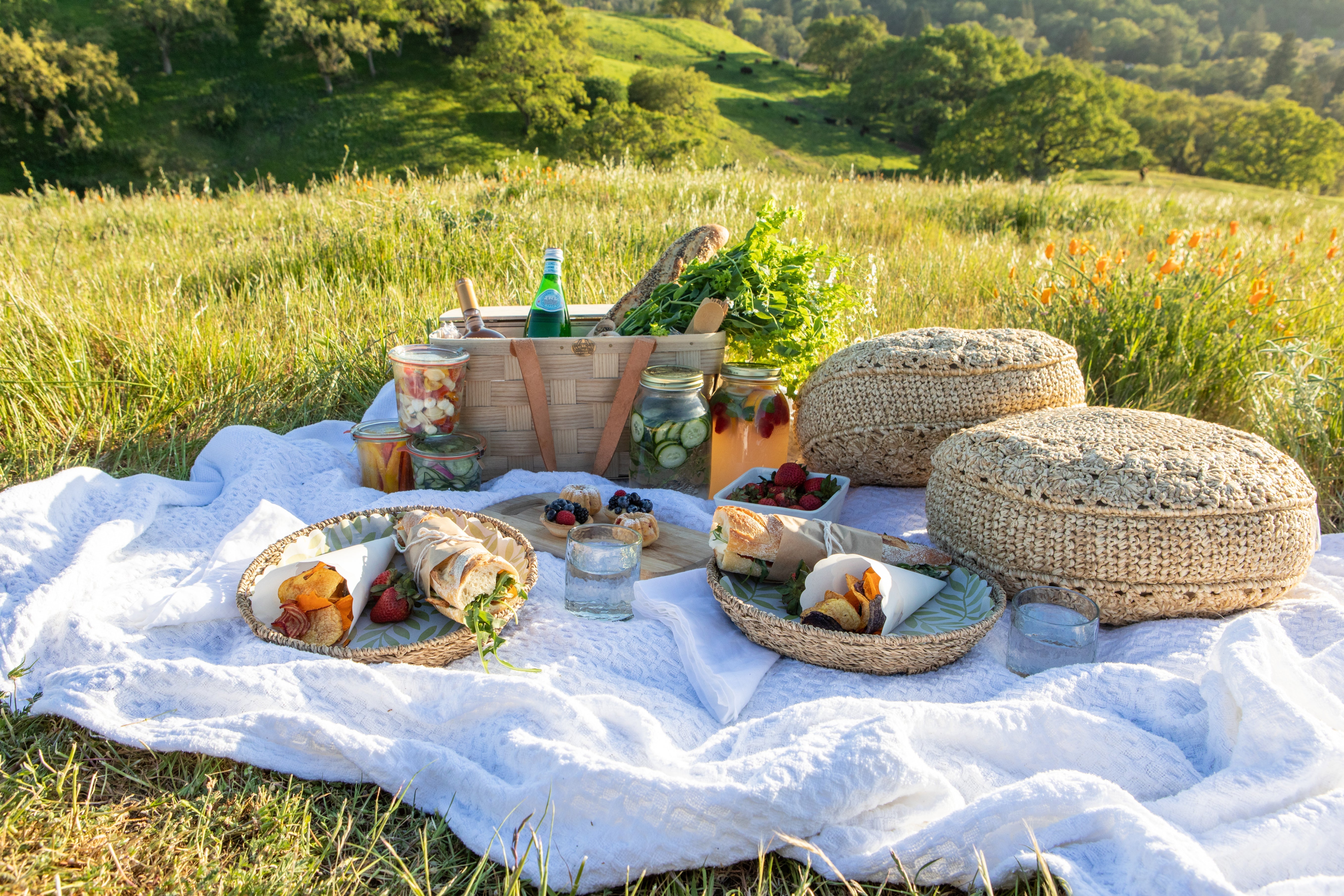 Picnic Time