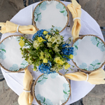 "Garden Party" Hydrangea Liners