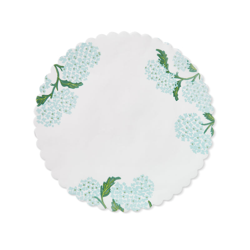 "Garden Party" Hydrangea Liners
